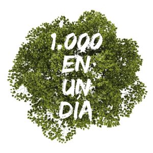 1.000 árboles en un día