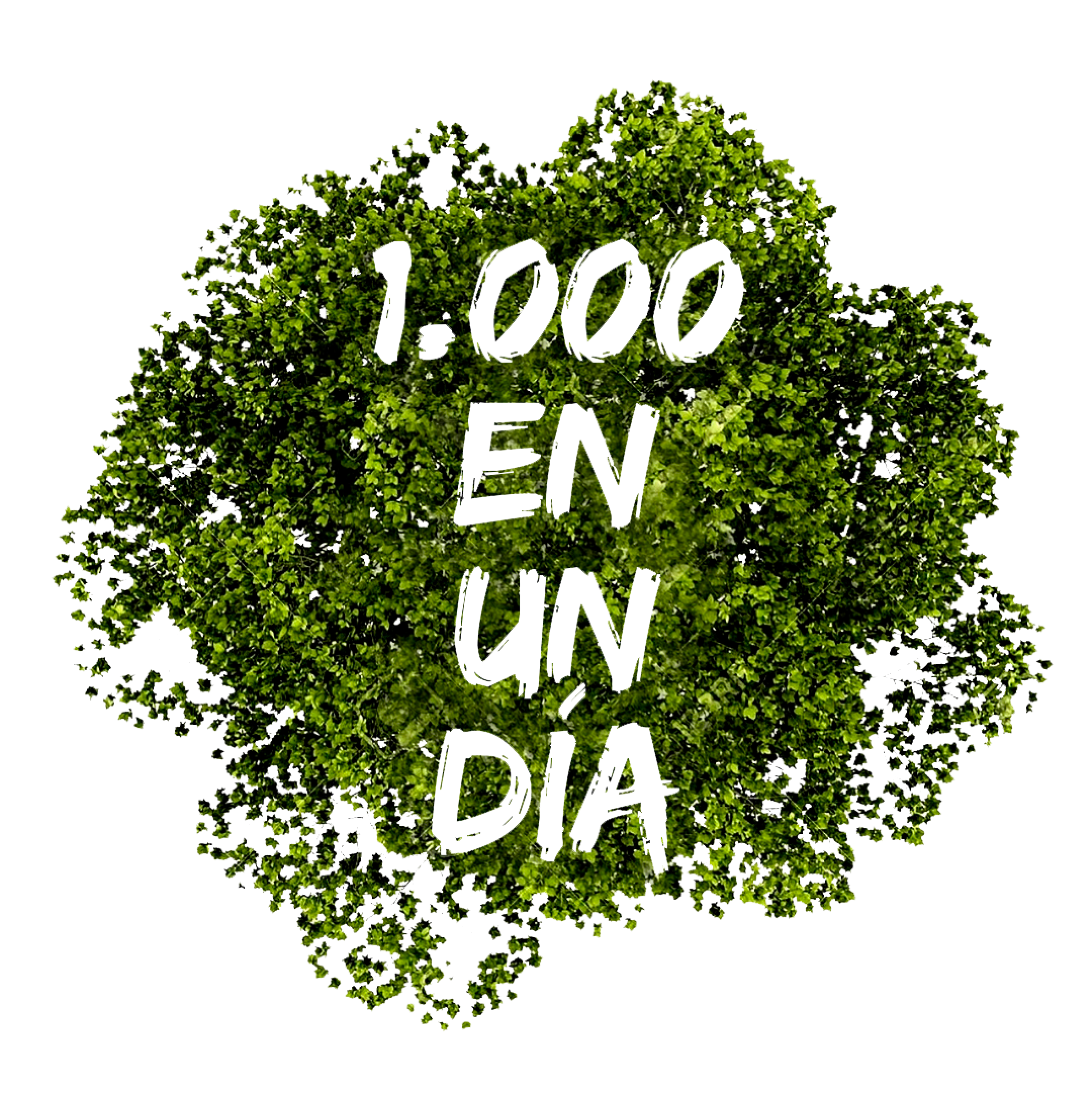 1.000 árboles en un día