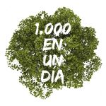 1000 en un día | Siembra de Árboles